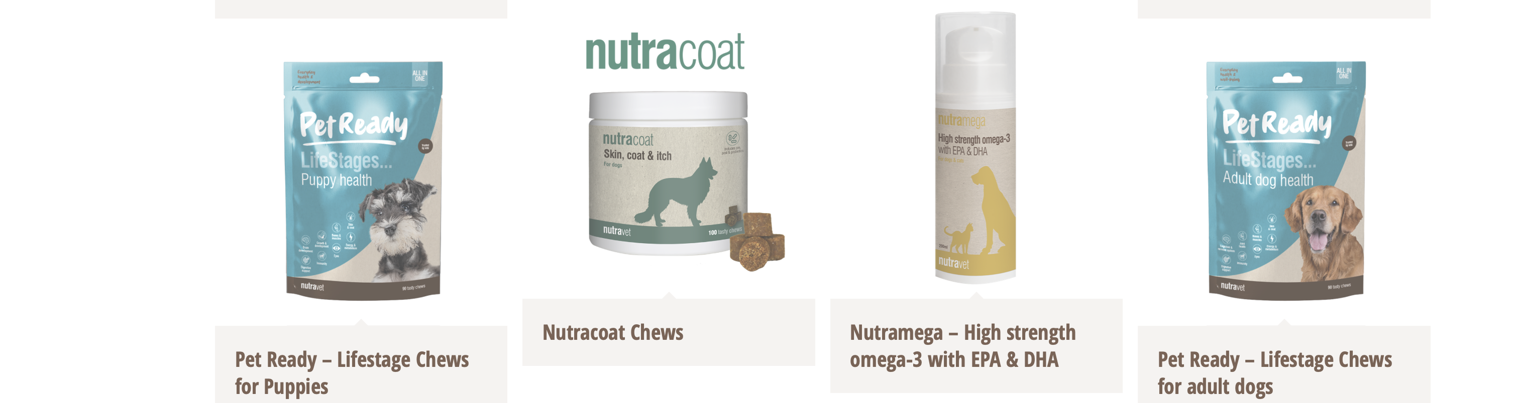 Herbal and Homeopathic Vet in North Wales & NW England